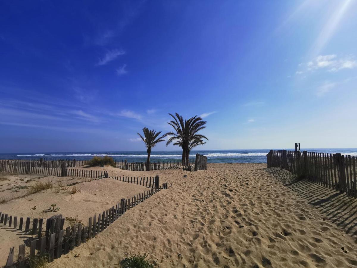 Soleil Levant: Beachfront Cozy Apartment with Direct Beach Access Le Barcares Exterior photo
